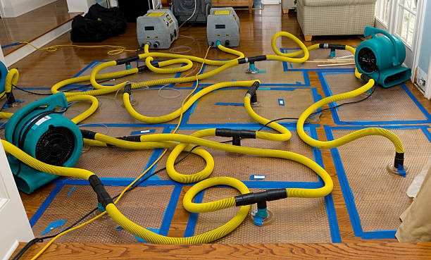 Professional Crawl Space Water Removal technician working in Quantico, VA